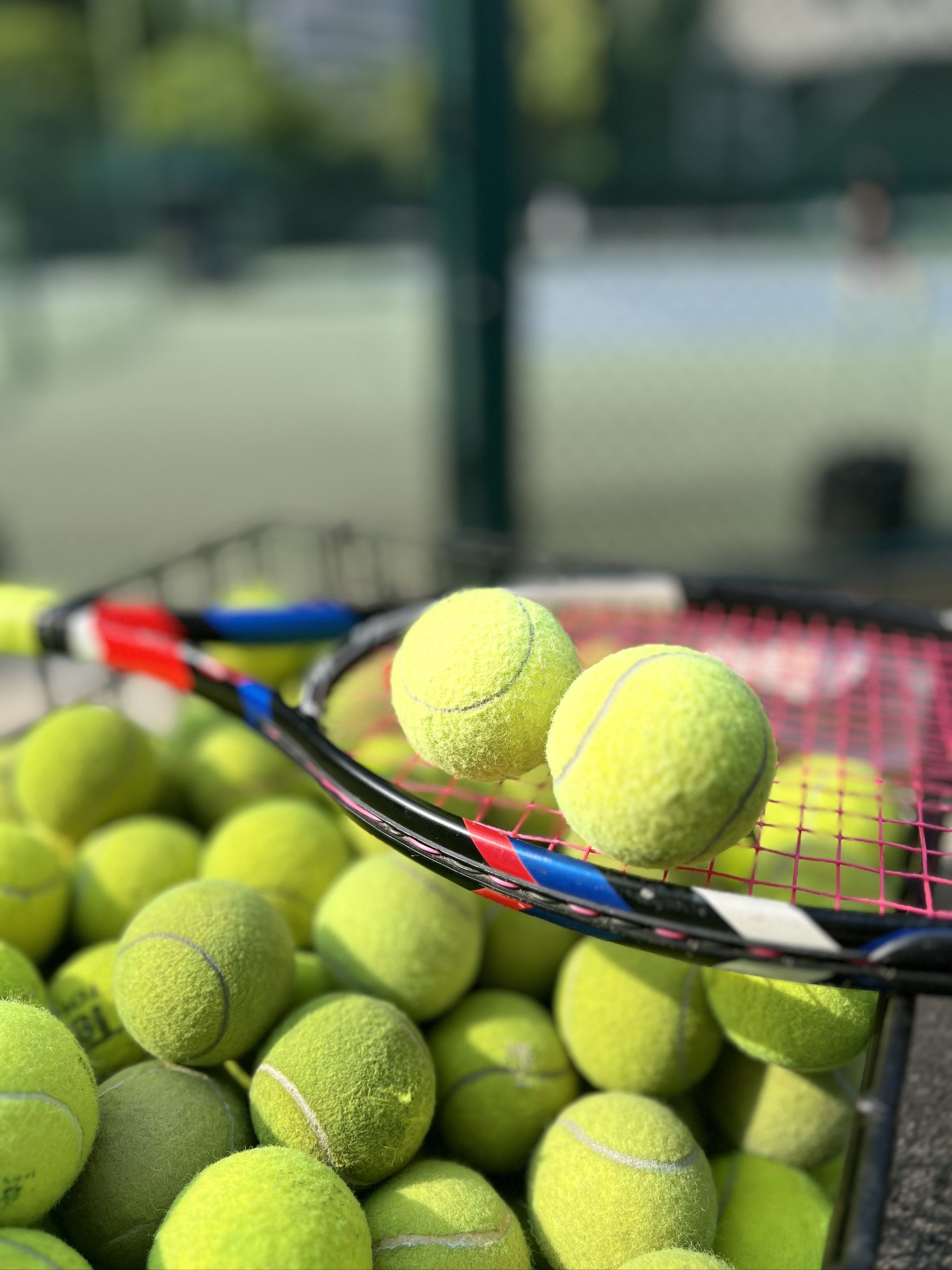 更是南北风 更是南北风